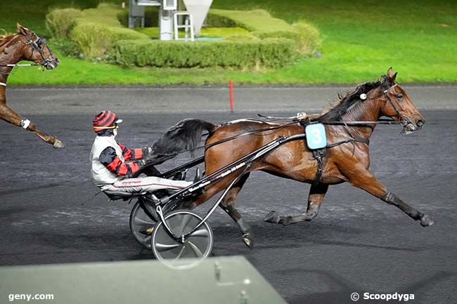 23/11/2023 - Vincennes - Prix de la Camargue : Result