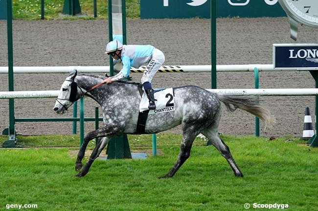 04/04/2024 - Chantilly - Prix du Haras Au Bois : Arrivée