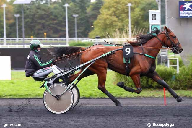 29/09/2024 - Vincennes - Prix Delta Cafés (Prix de Chaumont) : Ankunft