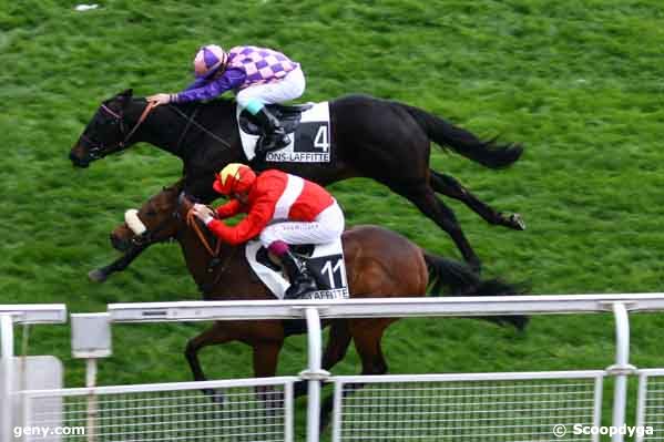 07/04/2008 - Maisons-Laffitte - Prix Prompt : Result