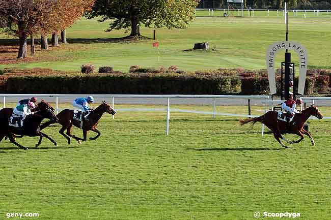 23/10/2008 - Maisons-Laffitte - Prix Ramsin : Result