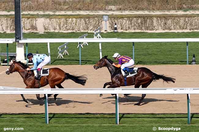 15/03/2012 - Deauville - Prix de Carentan : Arrivée