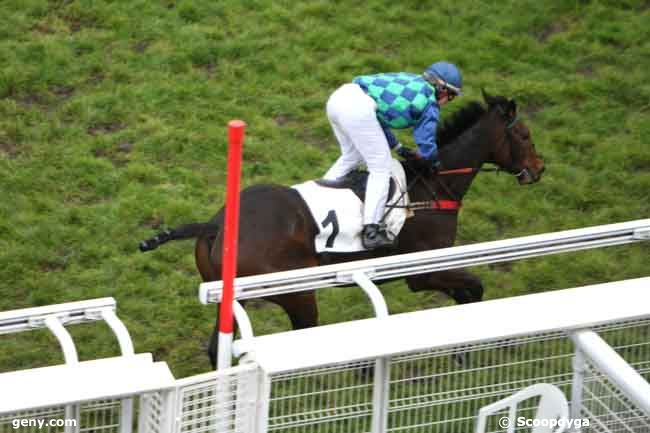 18/11/2012 - Auteuil - Prix François de Poncins : Arrivée