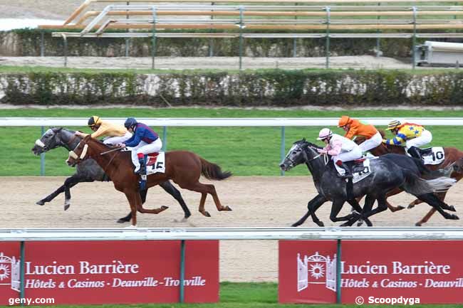 18/12/2013 - Deauville - Prix du Breuil : Arrivée