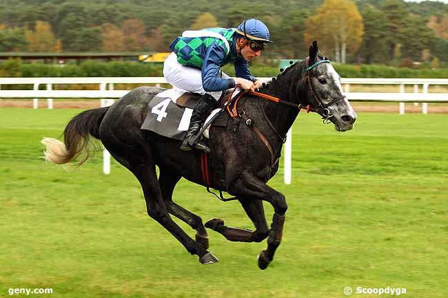 05/11/2015 - Fontainebleau - Prix Patrice Quenedey : Result