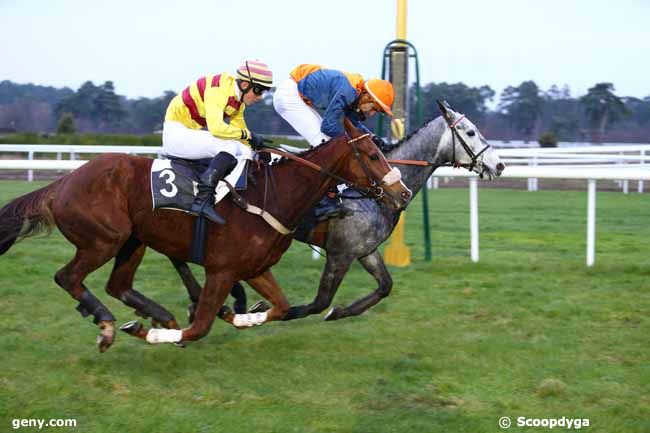 25/11/2016 - Fontainebleau - Prix Dix Cors Royal : Result