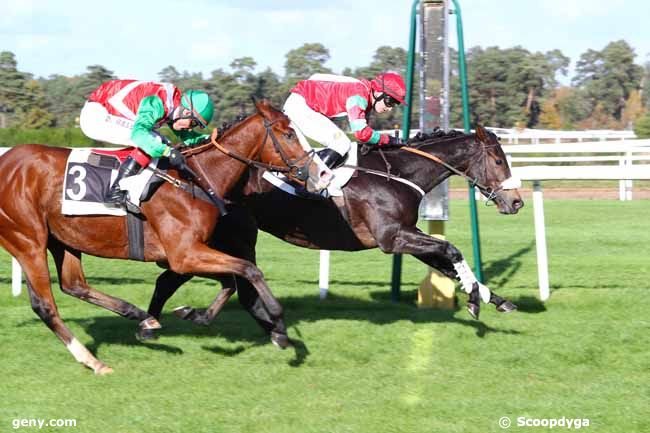 06/11/2017 - Fontainebleau - Prix Henry Maze-Sencier : Arrivée