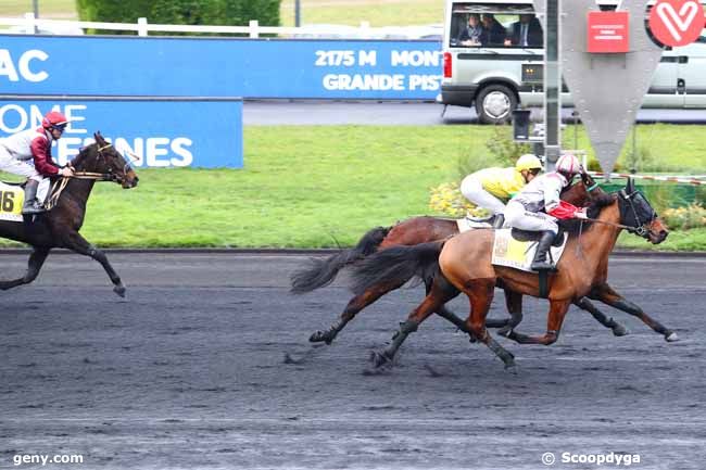 02/01/2020 - Vincennes - Prix de Vezac : Arrivée