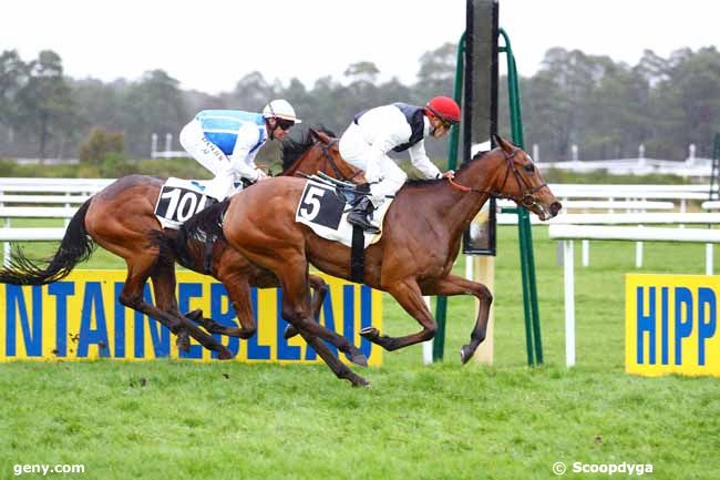 05/03/2020 - Fontainebleau - Prix de Fontainebleau Tourisme : Arrivée