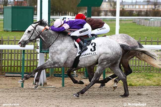 10/03/2020 - Chantilly - Prix du Bat l'Eau : Arrivée