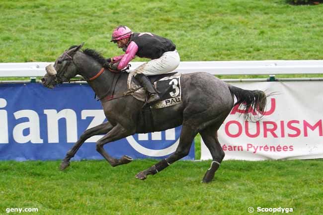 29/01/2021 - Pau - Prix René Sirvain : Arrivée