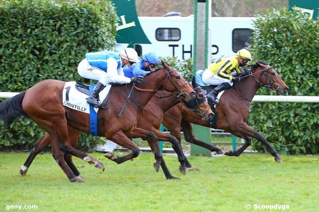 18/03/2021 - Chantilly - Prix Ronde de Nuit : Arrivée