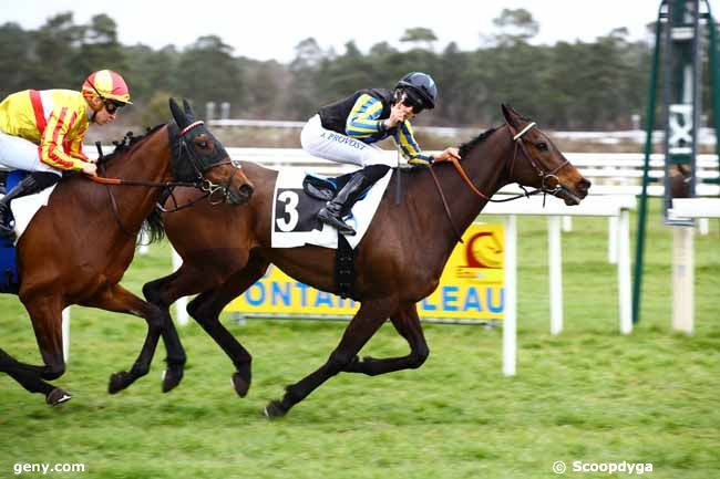 17/03/2023 - Fontainebleau - Prix des Bouleaux : Arrivée