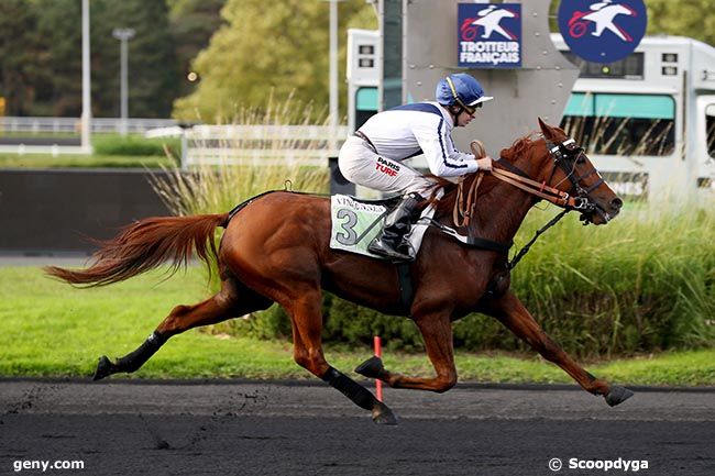 08/10/2024 - Vincennes - Prix Antonia : Arrivée