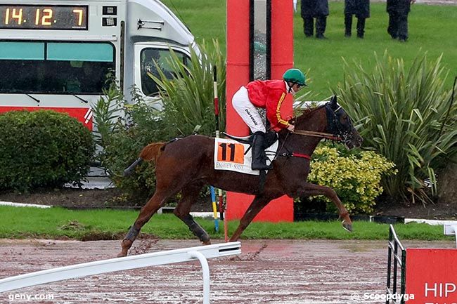 09/10/2024 - Enghien - Prix du Pont Royal : Arrivée