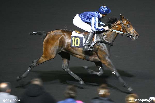 27/05/2008 - Vincennes - Prix Budrosa : Ankunft