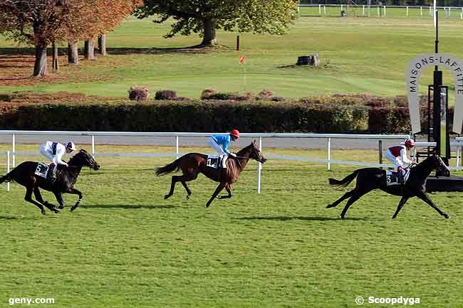 23/10/2008 - Maisons-Laffitte - Prix Astaria : Ankunft