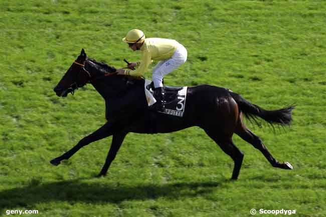 10/10/2009 - Maisons-Laffitte - Prix Silver Shark : Arrivée