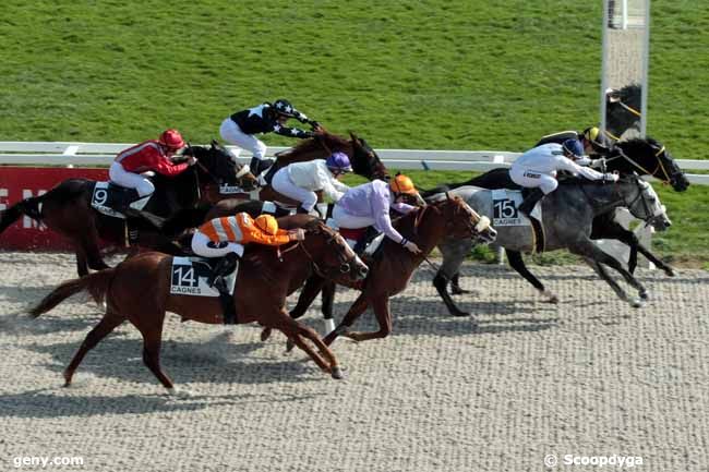 24/02/2010 - Cagnes-sur-Mer - Prix de Sainte-Maxime : Arrivée