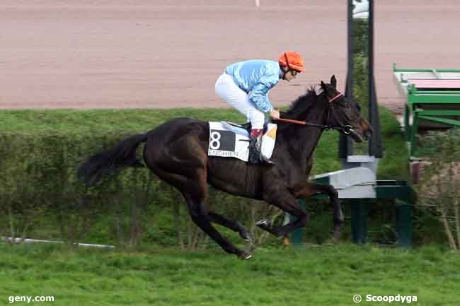 24/11/2010 - Enghien - Prix Roger de Minvielle : Ankunft