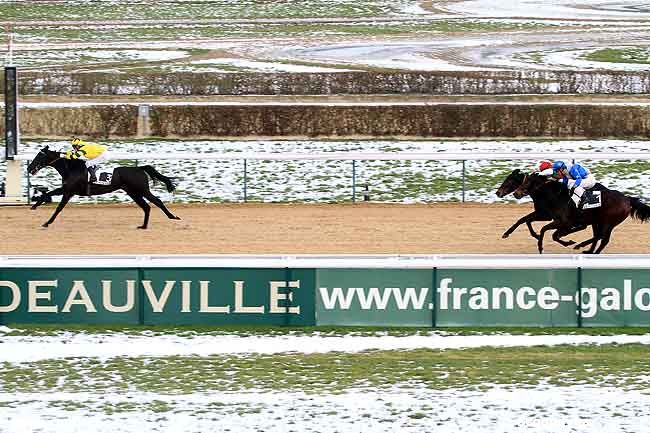 23/12/2010 - Deauville - Prix du Mont Lion : Arrivée