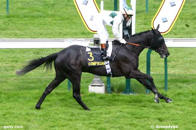 25/07/2011 - Compiègne - Prix de Saint-Just-en-Chaussée : Ankunft