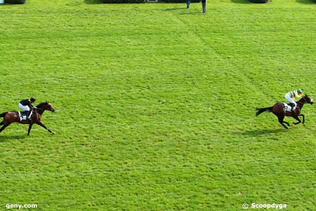 28/09/2013 - Auteuil - Prix de Maisons-Laffitte : Arrivée