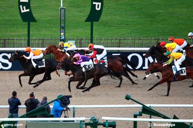 08/11/2013 - Chantilly - Prix des Sorbiers : Arrivée