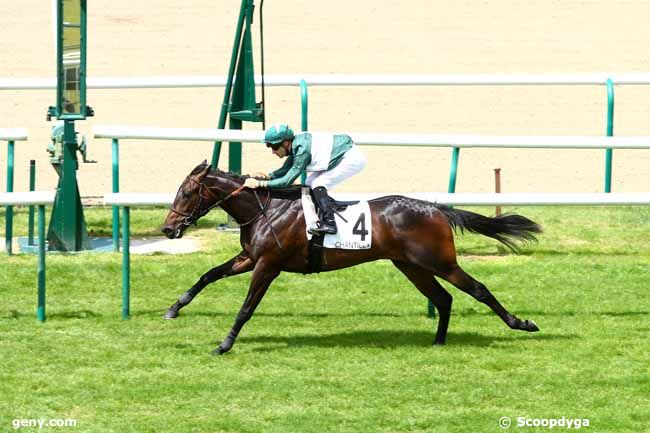 23/06/2014 - Chantilly - Prix de Mont l'Evêque : Arrivée