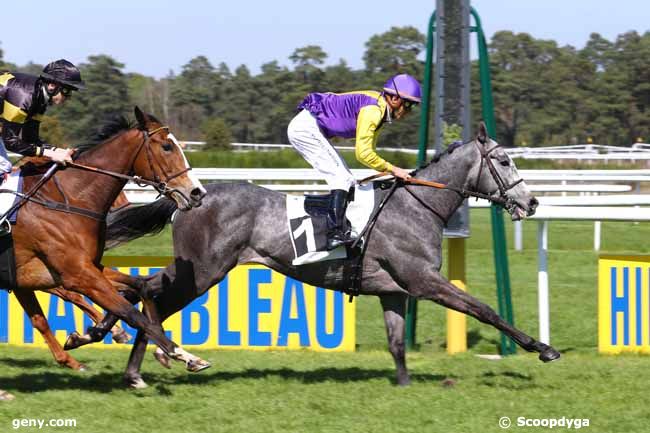 12/04/2017 - Fontainebleau - Prix du Centre d'Ecotourisme de Franchard : Arrivée