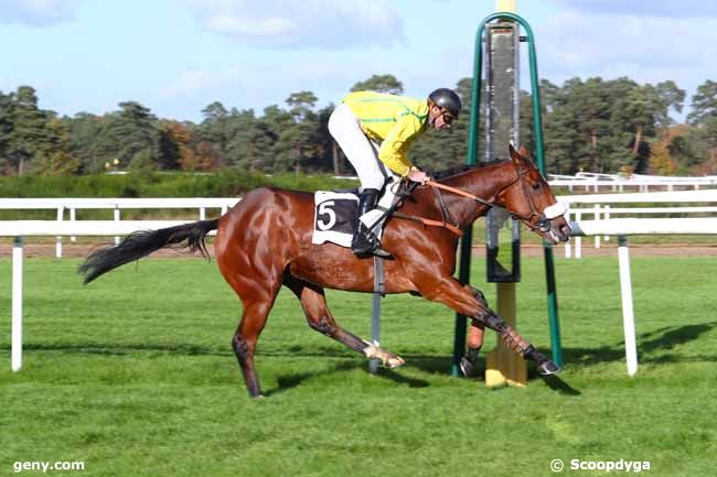 06/11/2017 - Fontainebleau - Prix du Baron Geoffroy de Waldner : Arrivée