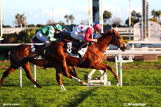 16/01/2023 - Cagnes-sur-Mer - Prix de la Canebière : Arrivée