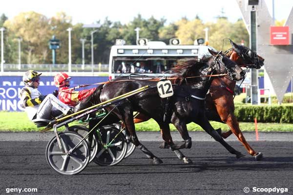 24/10/2023 - Vincennes - Prix Ariadne : Arrivée