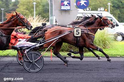 10/09/2024 - Vincennes - Prix Erato : Arrivée