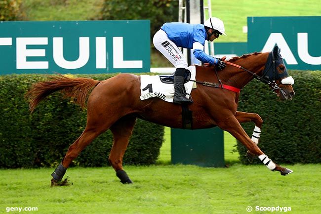 06/11/2024 - Auteuil - Prix Triquerville : Arrivée