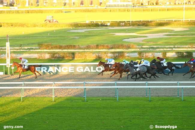 29/11/2024 - Deauville - Prix de la Pommeraie : Arrivée