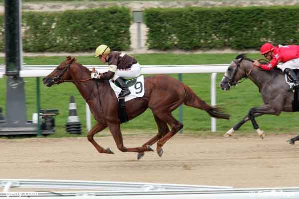 06/08/2008 - Deauville - Prix de la Hêtraie : Ankunft