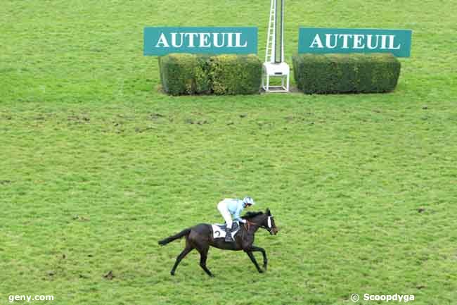 11/11/2012 - Auteuil - Prix Sytaj : Ankunft