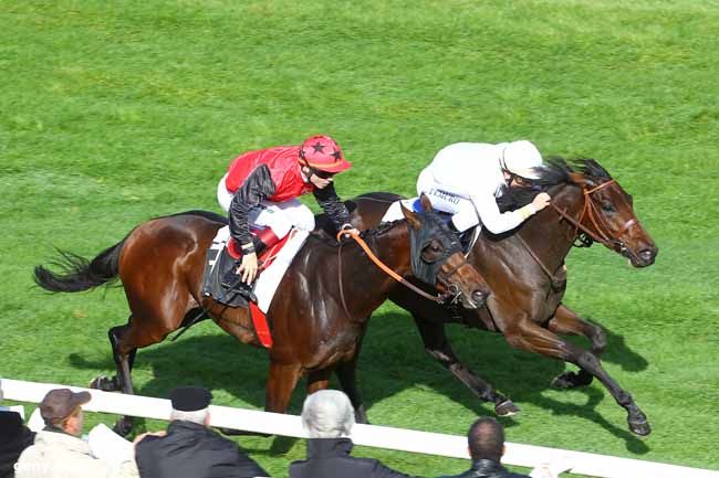 17/10/2013 - Fontainebleau - Prix de la Mare aux Evées : Result