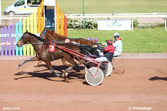 19/03/2014 - Beaumont-de-Lomagne - Prix du Gers : Arrivée