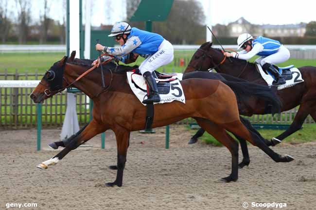 13/11/2017 - Chantilly - Prix de l'Embarcadère : Ankunft