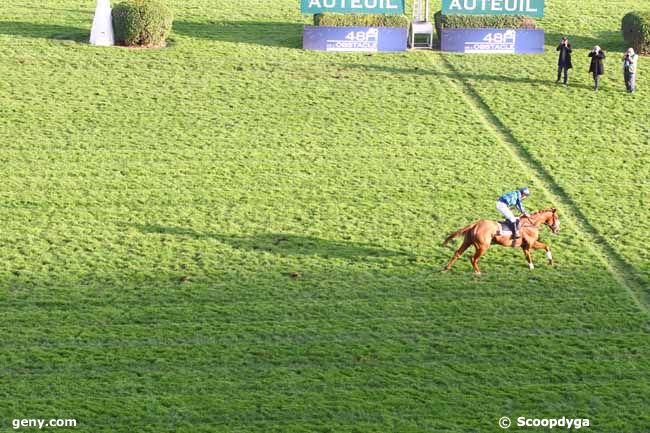 03/11/2018 - Auteuil - Grand Prix d'Automne : Ankunft