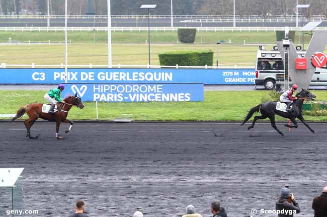 02/01/2020 - Vincennes - Prix de Guerlesquin : Arrivée