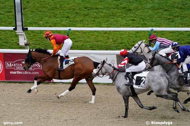 29/01/2021 - Pau - Prix de Montaut : Arrivée