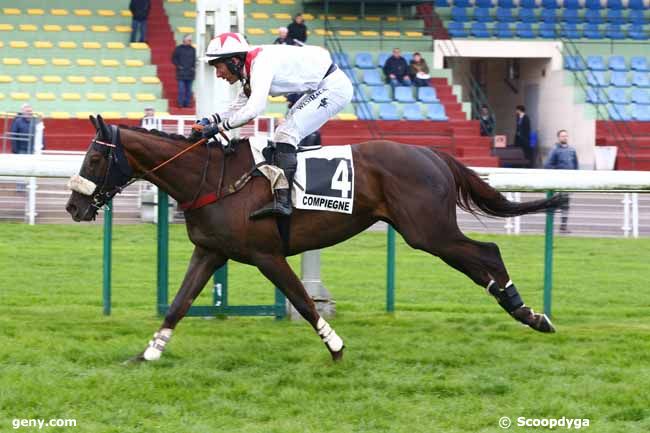 06/04/2023 - Compiègne - Prix Saccageur : Arrivée