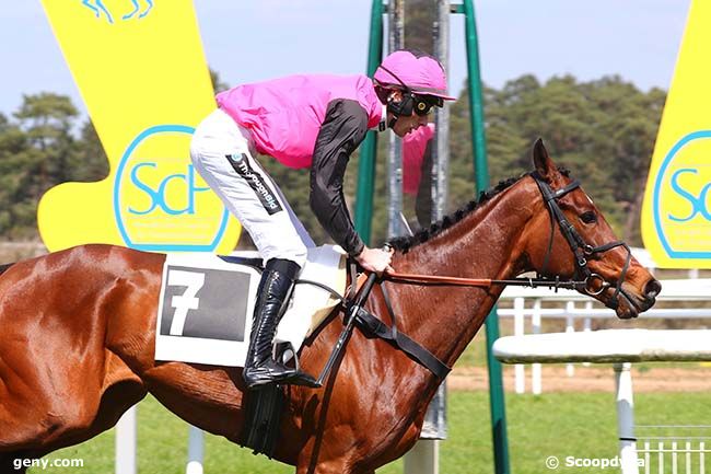 19/04/2023 - Fontainebleau - Prix du Régiment de Cavalerie de la Garde Républicaine : Result