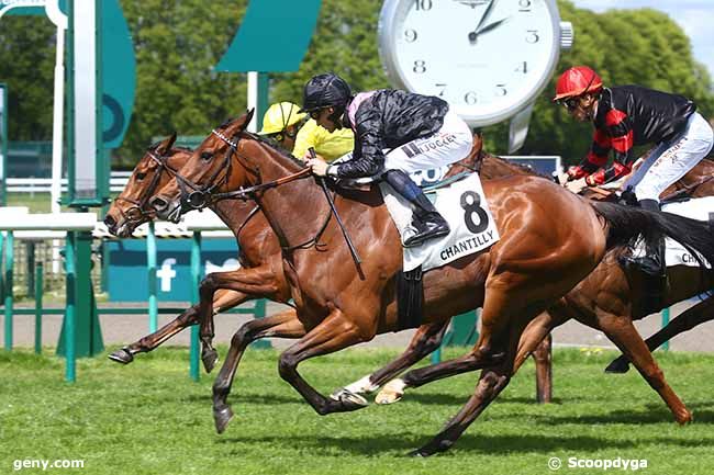 28/04/2023 - Chantilly - Prix de Manse : Arrivée