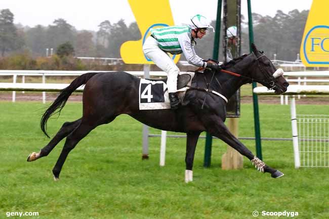 30/10/2023 - Fontainebleau - Prix des Gorges d'Apremont : Arrivée