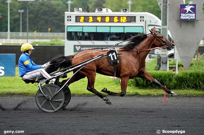 28/05/2024 - Vincennes - Prix Ozo : Arrivée