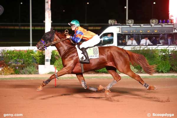 23/08/2024 - Cabourg - Prix de Moulins-la-Marche : Arrivée